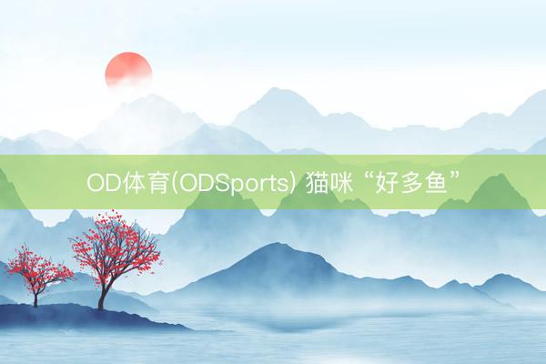 OD体育(ODSports) 猫咪 “好多鱼”