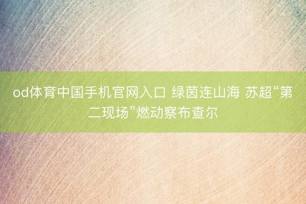 od体育中国手机官网入口 绿茵连山海 苏超“第二现场”燃动察布查尔