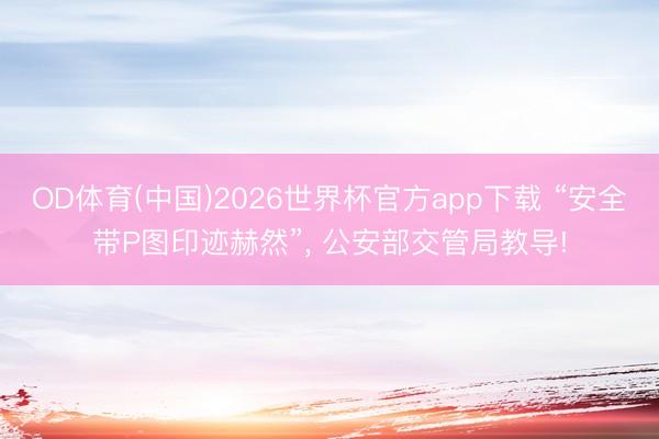 OD体育(中国)2026世界杯官方app下载 “安全带P图印迹赫然”， 公安部交管局教导!