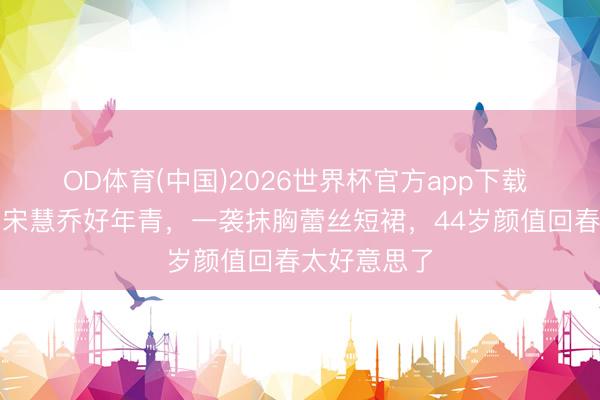 OD体育(中国)2026世界杯官方app下载 半扎发型的宋慧乔好年青，一袭抹胸蕾丝短裙，44岁颜值回春太好意思了