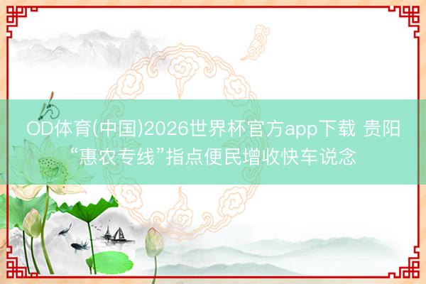 OD体育(中国)2026世界杯官方app下载 贵阳“惠农专线”指点便民增收快车说念