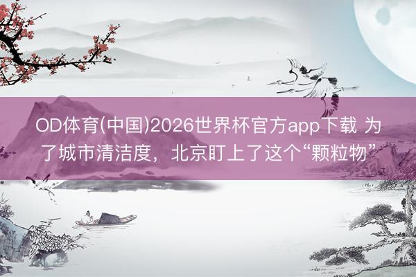 OD体育(中国)2026世界杯官方app下载 为了城市清洁度，北京盯上了这个“颗粒物”