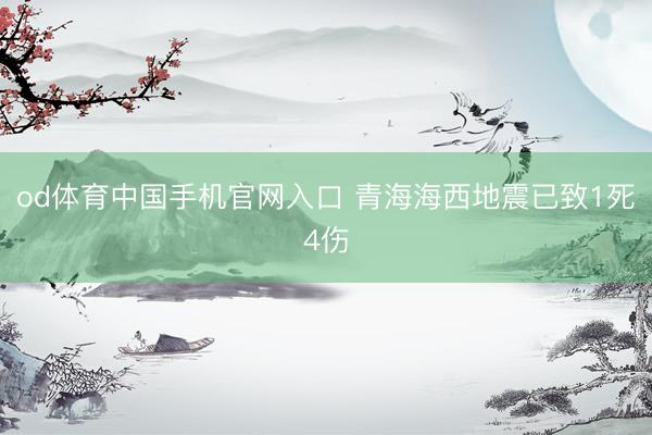 od体育中国手机官网入口 青海海西地震已致1死4伤