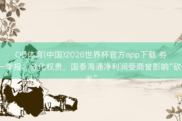 OD体育(中国)2026世界杯官方app下载 券商一季报：分化权贵，国泰海通净利润受商誉影响“砍半”
