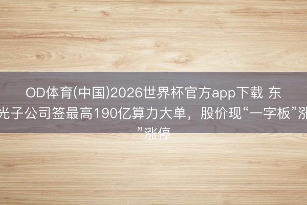 OD体育(中国)2026世界杯官方app下载 东阳光子公司签最高190亿算力大单，股价现“一字板”涨停