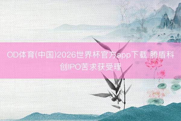 OD体育(中国)2026世界杯官方app下载 腾盾科创IPO苦求获受理