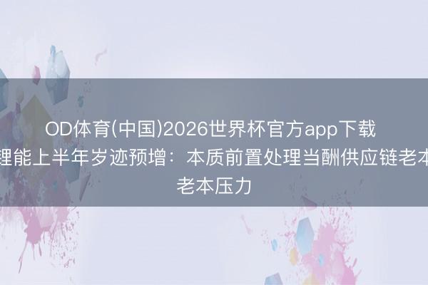 OD体育(中国)2026世界杯官方app下载 亿纬锂能上半年岁迹预增：本质前置处理当酬供应链老本压力