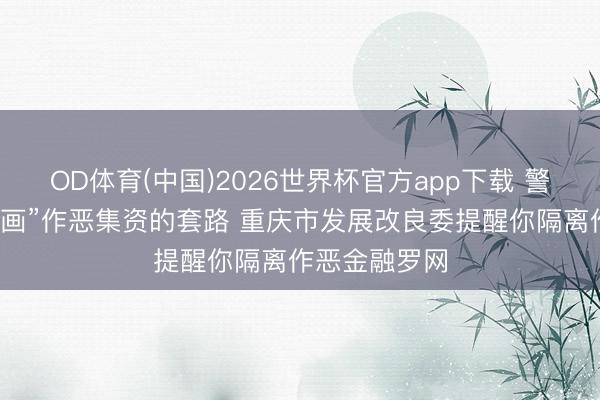 OD体育(中国)2026世界杯官方app下载 警惕以“要害规画”作恶集资的套路 重庆市发展改良委提醒你隔离作恶金融罗网