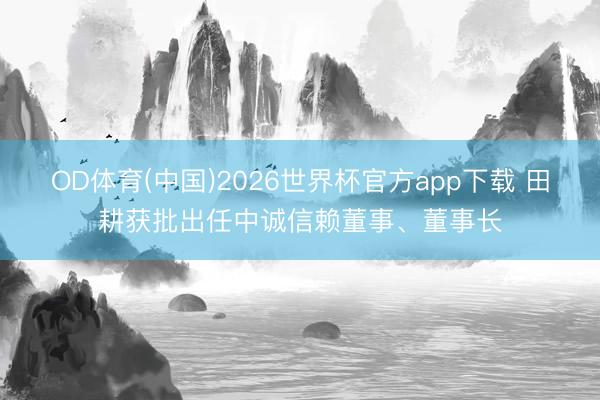 OD体育(中国)2026世界杯官方app下载 田耕获批出任中诚信赖董事、董事长